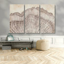 Tree Ring Wall Art Triptych, Rustic Wood Ring Canvas Print,