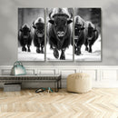American Bison Art | Buffalo Herd Wall Art Canvas Print, BW