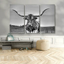 Texas Longhorn Cow Wall Art, Texas Longhorn Canvas, Cattle