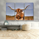 Texas Longhorn Wall Art Print, Framed Longhorn Cow Wall Art