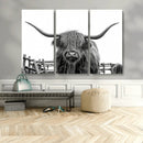 Longhorn Canvas Print, Bighorn Cow Wall Art Canvas Print