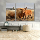 Highland Cow Canvas Wall Art Animal Print for Farm House