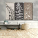 Minimalist Botanical Wall Art Canvas Print, Framed and Ready