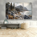 Serene Coastal View of Acadia National Park - Stunning