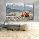Highland Cow Horn Farm Wall Art Canvas Print