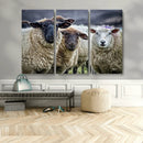 Charming Sheep Portrait Wall Art – Trio of Woolly Companions by MyGreatCanvas | Canvas Wall Art Prints | Photo Prints & Wall Decor