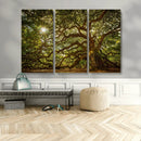 Ancient Angel Oak Tree Art Sunburst Canvas Print-