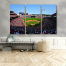 Cincinnati Reds Baseball Canvas Print - American Ball