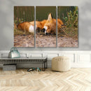 Sleeping Fox Wall Art Canvas Print, Farmhouse Wall Decor and