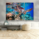 Underwater Coral Reef Sea Turtle Wall Art Canvas Print,