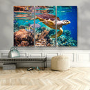 Sea Turtle Wall Art Canvas Print – Vibrant Ocean Coral Reef