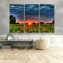 Golden Sunflower Field at Sunset – Breathtaking Sky and