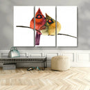 Cardinal Bird Canvas Wall Art - Male and Female Cardinal