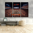 Texas Stadium Night Game Wall Art Canvas Print – Vibrant