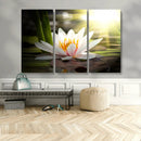 Lotus Flower Wall Art Canvas Print, Water Lily Large Wall