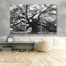 Ancient Oak Wall Art Canvas Print – Gnarled Tree Twisted by MyGreatCanvas | Canvas Wall Art Prints | Photo Prints & Wall Decor