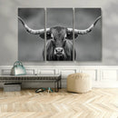 Texas Longhorn Wall Art Canvas Print – Framed Western Bull