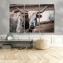 Texas Longhorn Wall Art Canvas Print – Framed Spotted Bull