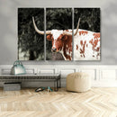 Texas Longhorn Wall Art Canvas Print – Framed Spotted Bull
