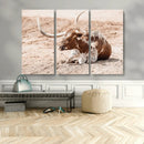 Texas Longhorn Wall Art – Framed Resting Bull Canvas by MyGreatCanvas | Canvas Wall Art Prints | Photo Prints & Wall Decor