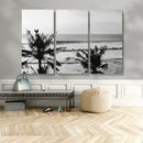 Tropical Coastline Wall Art Canvas Print – Framed Palm Trees by MyGreatCanvas | Canvas Wall Art Prints | Photo Prints & Wall Decor