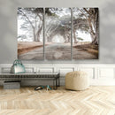 Cypress Tunnel Wall Art – Framed Misty Road Canvas Artwork, by MyGreatCanvas | Canvas Wall Art Prints | Photo Prints & Wall Decor
