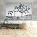 Joshua Tree Wall Art Canvas Print – Framed Black White