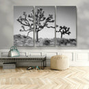 Joshua Tree Wall Art Canvas Print – Framed Monochrome Desert