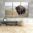 Bison Wall Art Canvas Print – Framed Buffalo American Bison