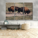 Bison Wall Art Canvas Print – Framed Western Wildlife Modern by MyGreatCanvas | Canvas Wall Art Prints | Photo Prints & Wall Decor
