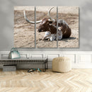 Texas Longhorn Wall Art Canvas Print – Framed Country Living