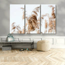 Pampas Grass Wall Art Canvas Print – Framed Neutral Tones