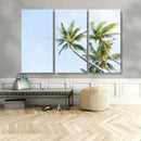 Palm Trees Wall Art Canvas Print – Framed Tropical Coastal