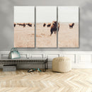 Bison Herd Wall Art Canvas Print – Framed Western Prairie