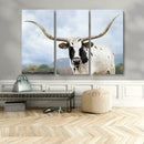 Texas Longhorn Wall Art Canvas Print – Framed Western Rustic