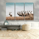 Elk Herd Wall Art Canvas Print – Framed Wildlife Photography