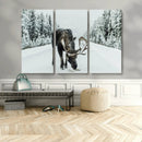 Moose Snow Wall Art Canvas Print – Framed Winter Wildlife