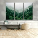 Misty Green Forest Canvas Print – Framed Serene Foggy Pine
