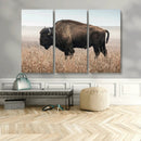 American Bison Wall Art Canvas Print – Majestic Buffalo