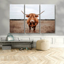 Longhorn Bull Wall Art Canvas Print – Framed Rustic by MyGreatCanvas | Canvas Wall Art Prints | Photo Prints & Wall Decor