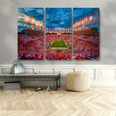 Tennessee Neyland Stadium Wall Art, Sports Arena Canvas by MyGreatCanvas | Canvas Wall Art Prints | Photo Prints & Wall Decor