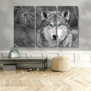 Wild Wolf Blue Eye Wall Art Canvas Print