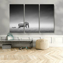 Elephand and Zebra Wall Art Canvas Print, Modern Artwork