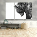 Black and White Grizzly 399 Bear Canvas Print Wall Art | by MyGreatCanvas | Canvas Wall Art Prints | Photo Prints & Wall Decor