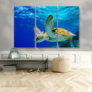 Sea Turtle Wall Art Canvas Print, Sea life in the Ocean Wall