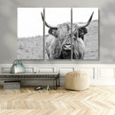 Newfoundland Cow Art Wall Art, Black White Cow Art Wall Art