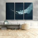 Swimmer Wall Art Canvas Print
