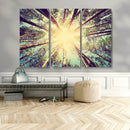 Tree and Sunshine Canvas Print