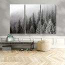 Big Foggy Forest and Misty Trees Forest Wall Art Canvas by MyGreatCanvas | Canvas Wall Art Prints | Photo Prints & Wall Decor