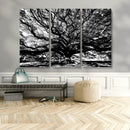 Mighty Angel Oak Wall Art | Angel Oak Tree Art Print by MyGreatCanvas | Canvas Wall Art Prints | Photo Prints & Wall Decor
